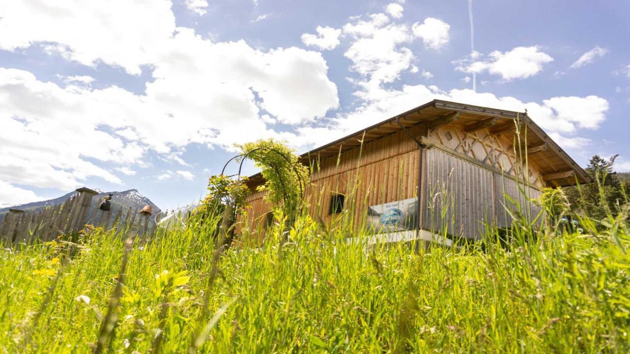 Stubaier Bauern Appartement Telfes im Stubai Exterior foto